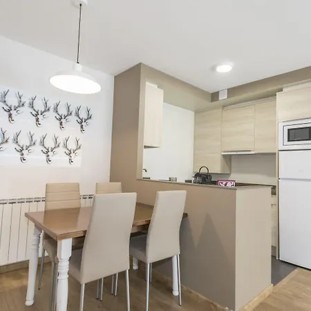 Casa Bringasort Apartment Benasque